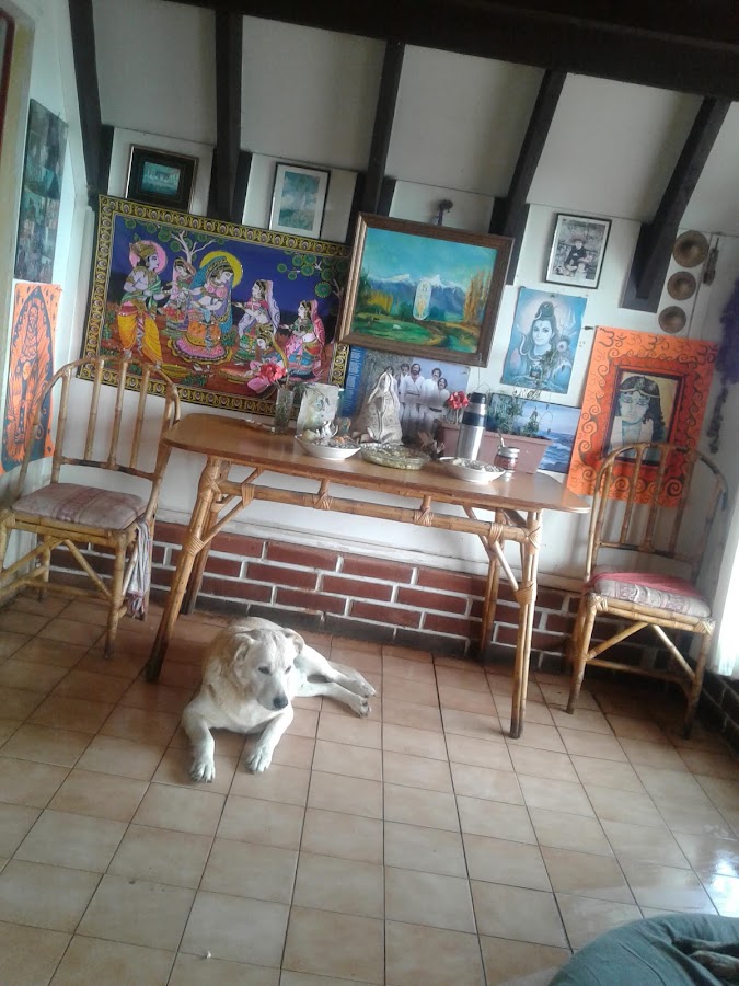 Fabrica De Dulces Sidney