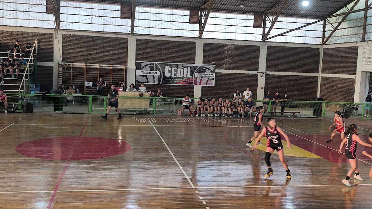 Gimnasio Municipal