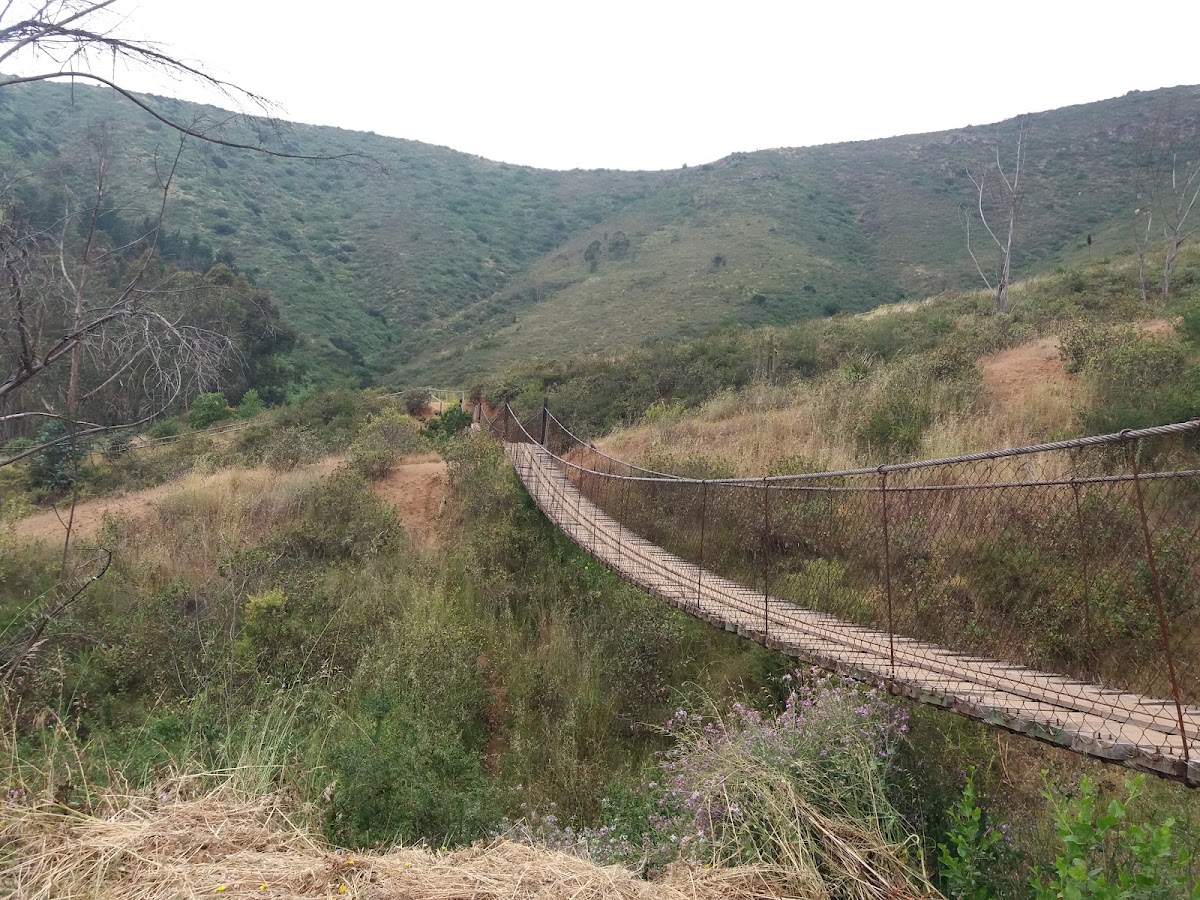 Parque Urbano Natural La Ligua