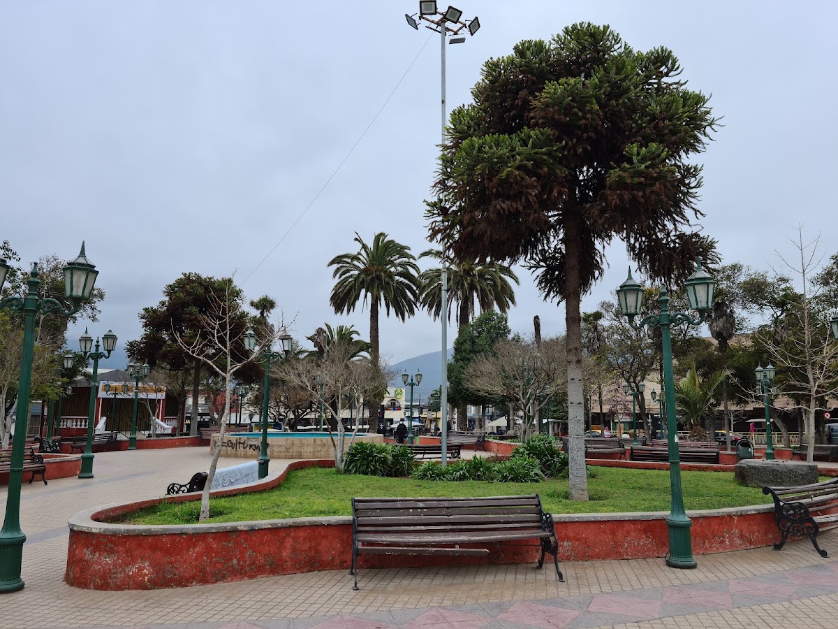Plaza La Ligua