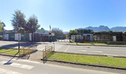 CAMPING PEWMA VIVA