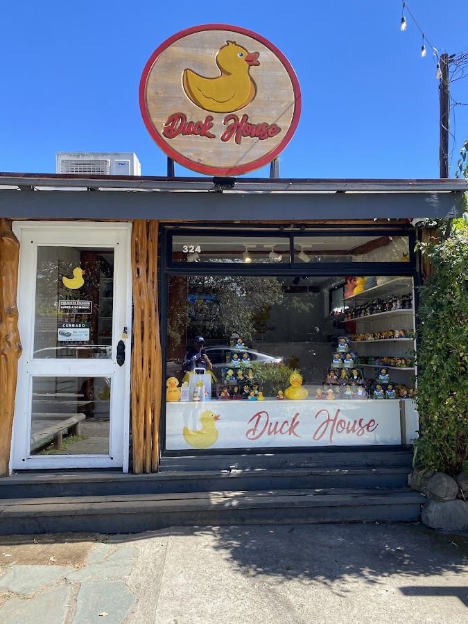 Duck House