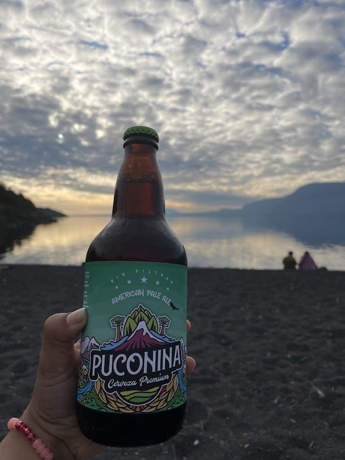 Cerveza Artesanal Puconina