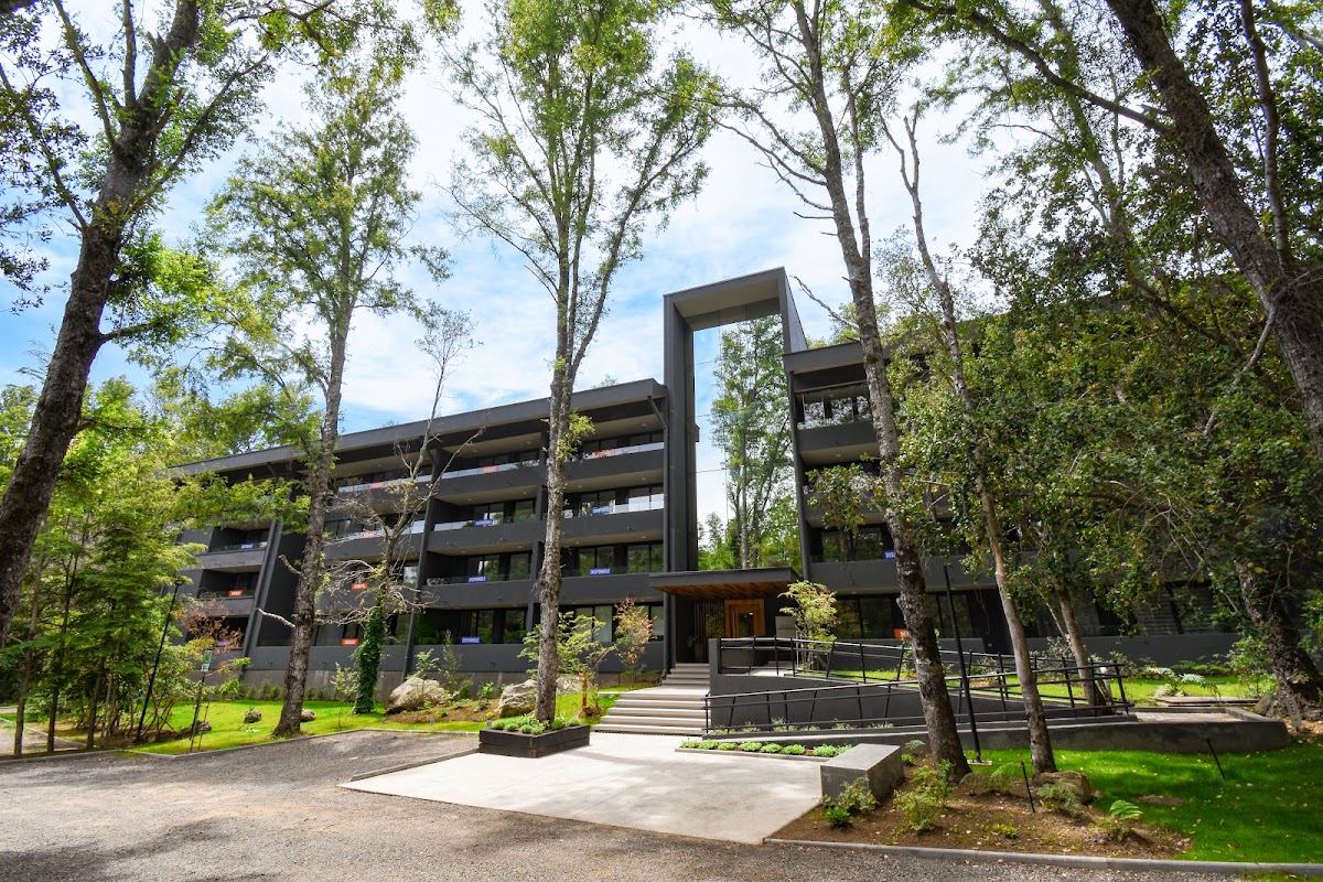 Condominio Pucón Andino