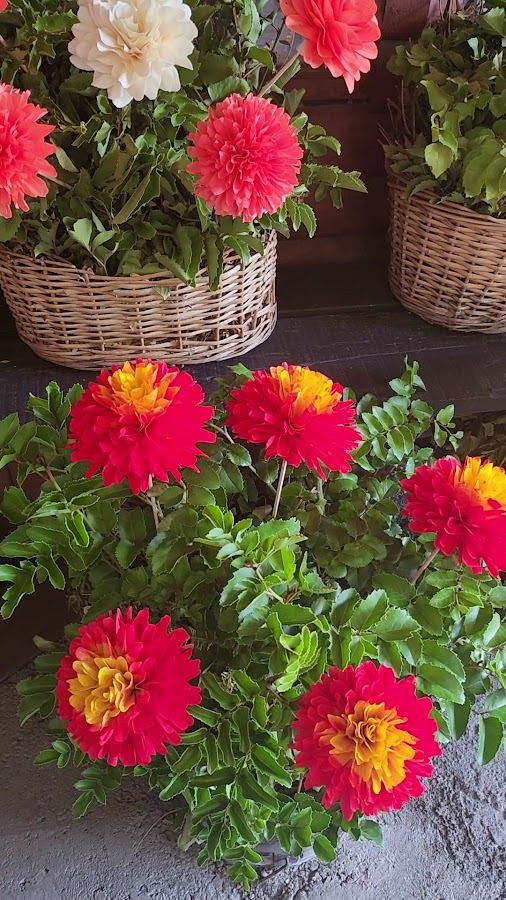 Artesanía Flores de Madera