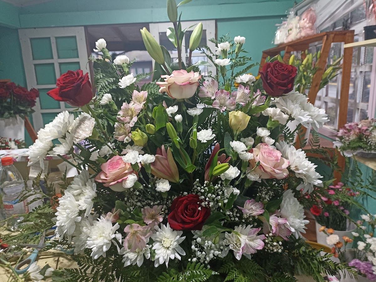 Pucón en Flor