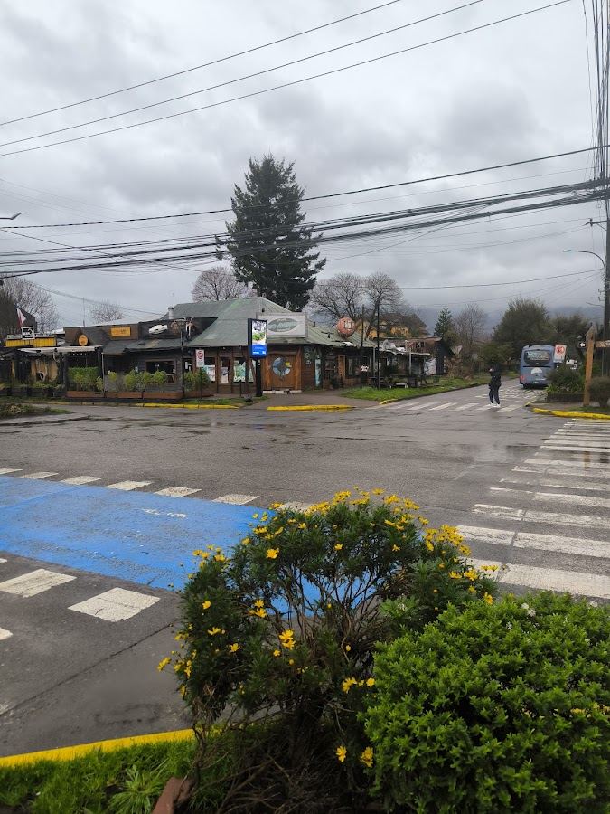 Juzgado de Letras Pucón