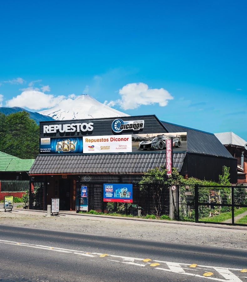 Diconor Repuestos Pucón