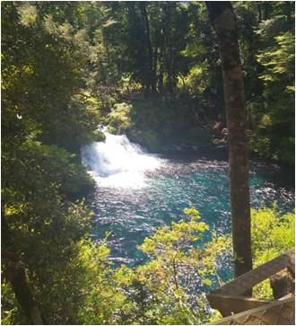 Camping Ojos de Caburgua