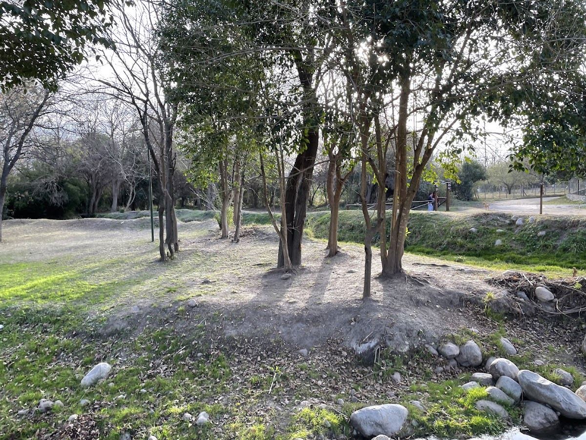 Plazoleta de Los Pájaros