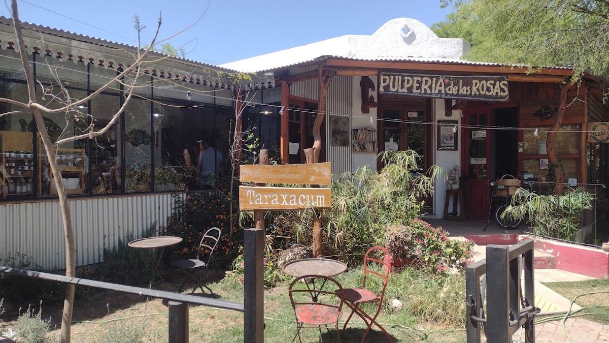 Taraxacum Tienda Natural