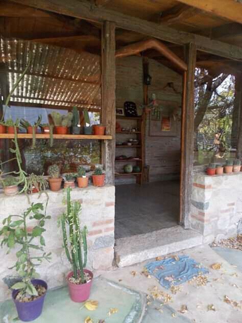 "Magia del Valle" CACTUS y SUCULENTAS