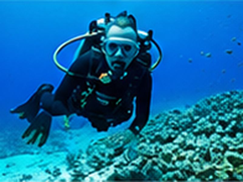 Buceo Pichidangui